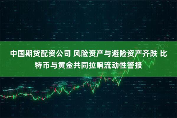 中国期货配资公司 风险资产与避险资产齐跌 比特币与黄金共同拉响流动性警报